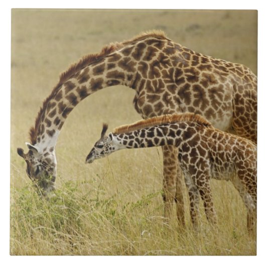 Carreau Girafe maasaï mère et bébé, Giraffa (Devant)