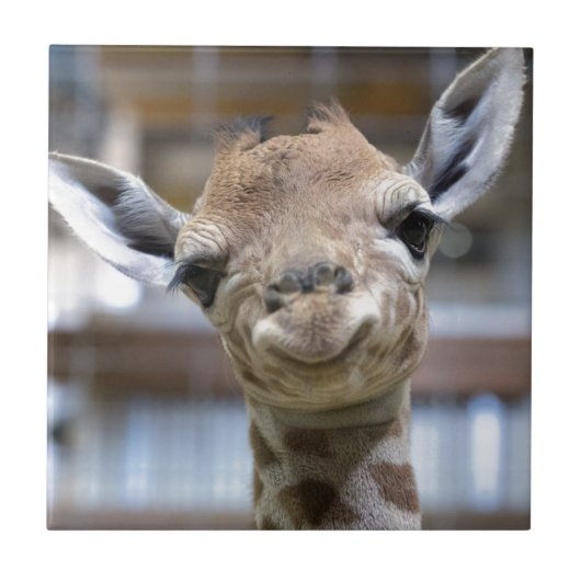 Carreau girafe mignonne de bébé (Devant)
