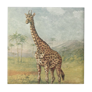 Carreau Girafe vintage