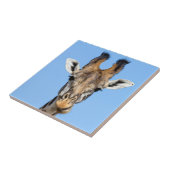 Carreau Giraffe (Côté)