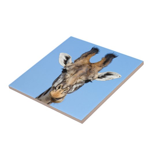 Carreau Giraffe (Côté)