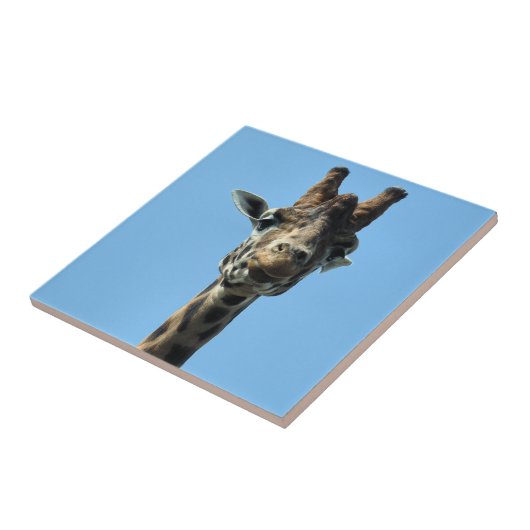 CARREAU GIRAFFE (Côté)