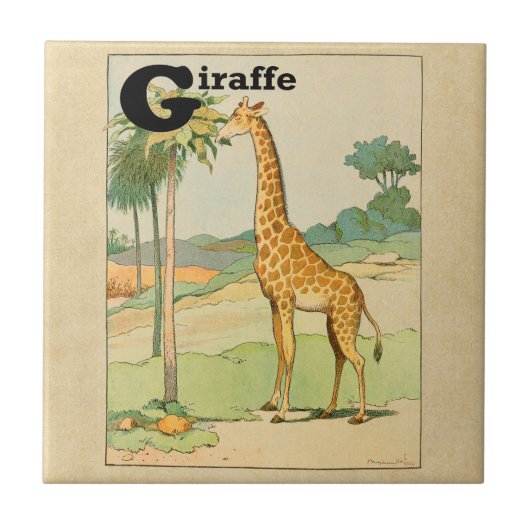 Carreau Giraffe Manger Acacia dans le désert (Devant)
