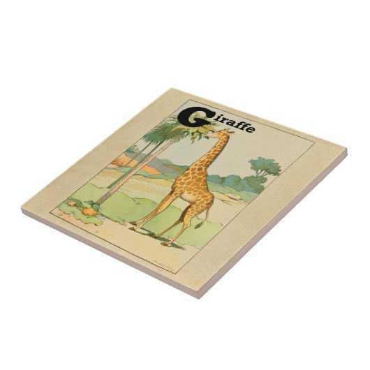 Carreau Giraffe Manger Acacia dans le désert (Côté)