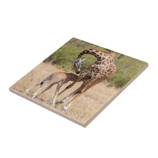 Carreau Giraffe Mère et bébé au Kenya (Côté)