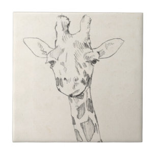 Carreau Giraffe Portrait Croquis