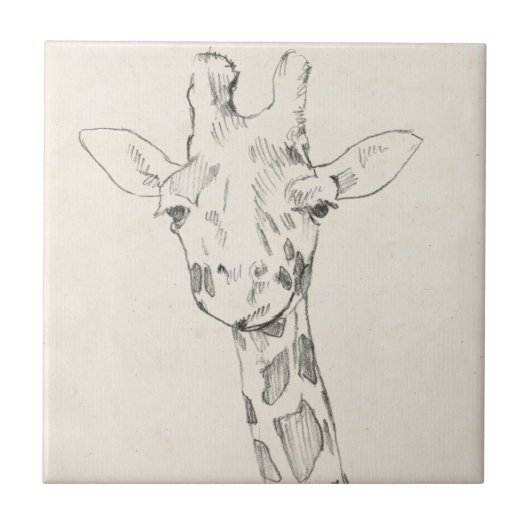 Carreau Giraffe Portrait | Croquis (Devant)