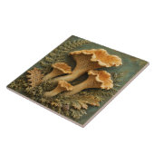 Carreau Girolles et Fougères de la Forêt (Côté)