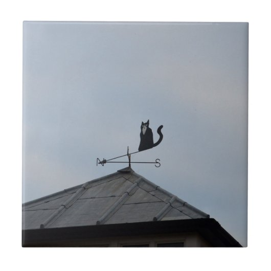 Carreau Girouette Chat Noir (Devant)