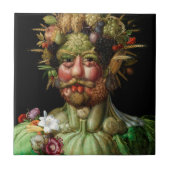 Carreau Giuseppe Arcimboldo - Vertumnus (Devant)