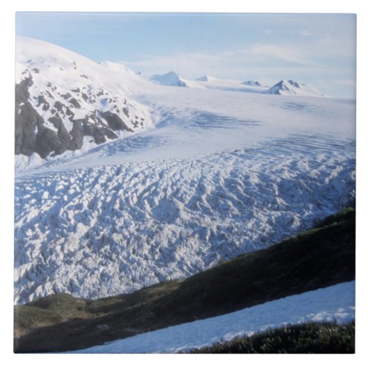 Carreau Glacier Exit dans le parc national des fjords de K (Devant)