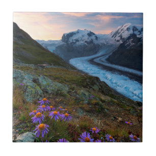 Carreau Glacier Suisse de Monte Rosa
