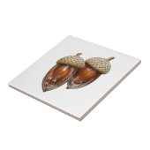 Carreau Glassy Acorns (Côté)