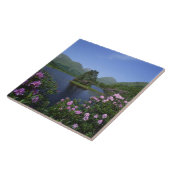 Carreau Glen Etive, Highlands, Écosse (Côté)