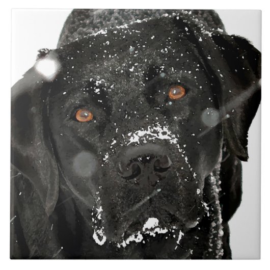 Carreau Globe des neiges - Chien à neige - Black Labrador (Devant)