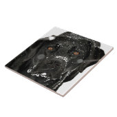 Carreau Globe des neiges - Chien à neige - Black Labrador (Côté)