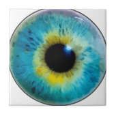 Carreau Globe oculaire - iris (Devant)