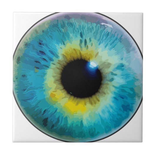 Carreau Globe oculaire - iris (Devant)