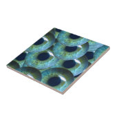 Carreau globes oculaires déplaisants (Côté)