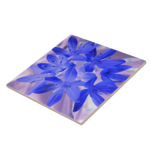 Carreau Gloire de la neige scintillante Carrelage bleu