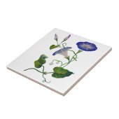 Carreau Glories du matin bleu brodé (Côté)