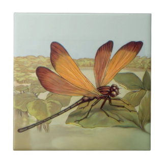Carreau Golden Dragonfly