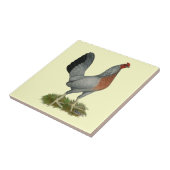 Carreau Golden Duckking Hen (Côté)