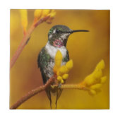 Carreau Golden Glow (Devant)