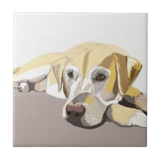 Carreau Golden Labrador