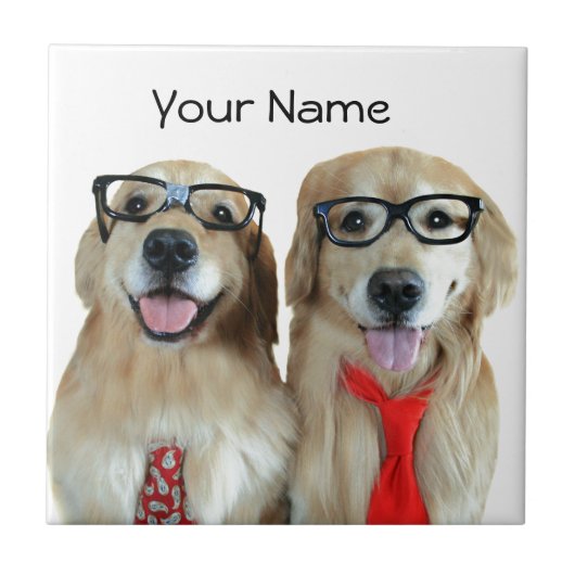 Carreau Golden Retriever avec lunettes Nerd (Devant)