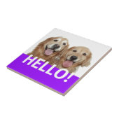 Carreau Golden retriever bonjour (Côté)