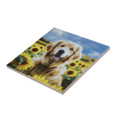 Carreau Golden Retriever dans un champ de tournesol (Côté)