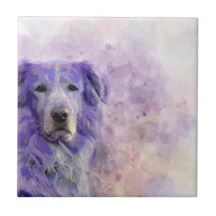Carreau Golden retriever du chien 140