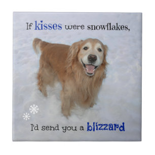 Carreau Golden Retriever Snowflers Kisses