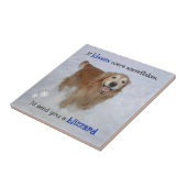 Carreau Golden Retriever Snowflers Kisses (Côté)