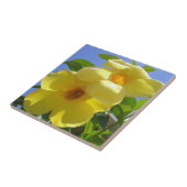 Carreau Golden Trumpet (Côté)