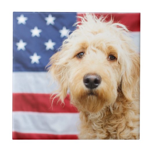 Carreau Goldendoodle avec drapeau américain (Devant)