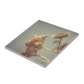 Carreau Goldfinch (Côté)