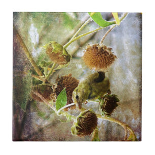 Carreau Goldfinch et Sunflowers