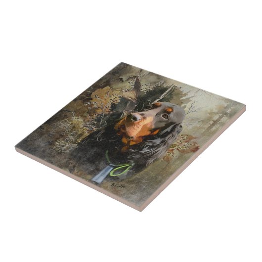 Carreau Gordon Setter (Côté)