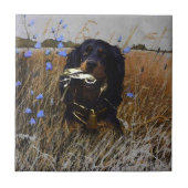 Carreau Gordon Setter (Devant)