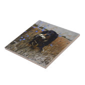 Carreau Gordon Setter (Côté)