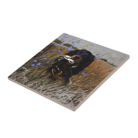 Carreau Gordon Setter (Côté)