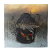 Carreau Gordon Setter (Devant)