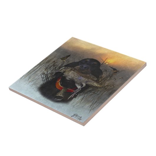 Carreau Gordon Setter (Côté)