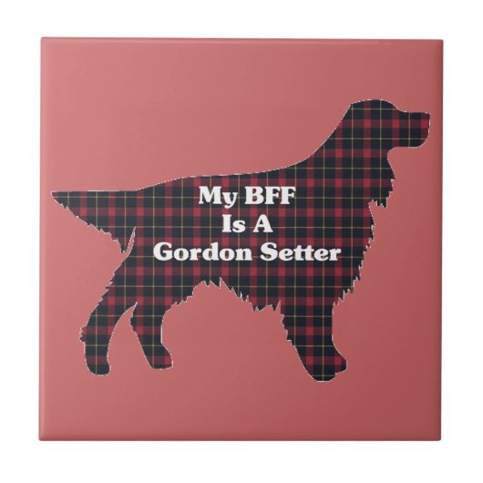 Carreau Gordon Setter BFF (Devant)