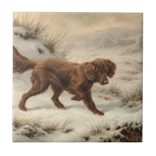 Carreau Gordon Setter Dog dans un paysage hivernal enneigé