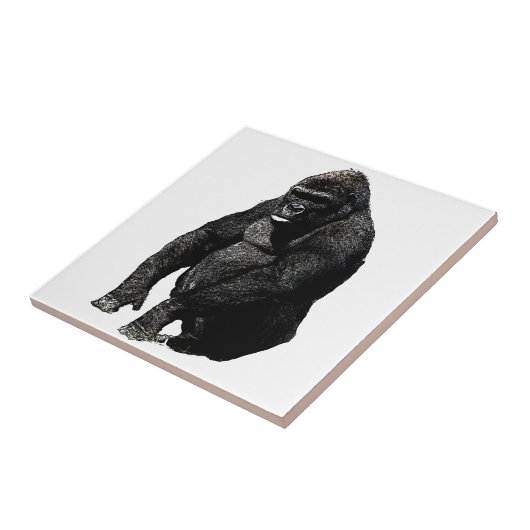 Carreau Gorilla (Côté)