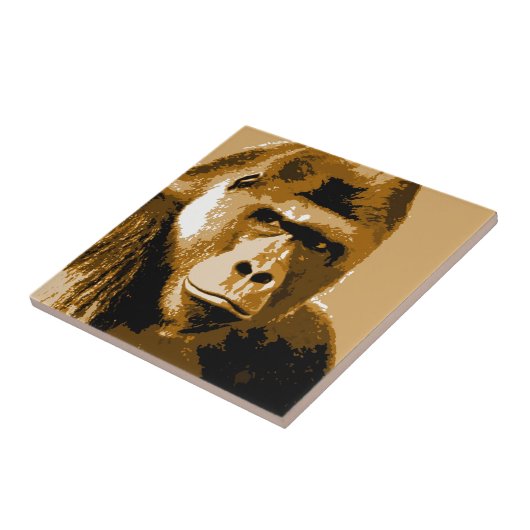 Carreau Gorilla (Côté)