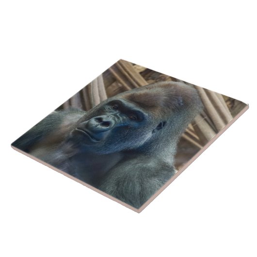 Carreau Gorilla en céramique vue rapprochée (Côté)